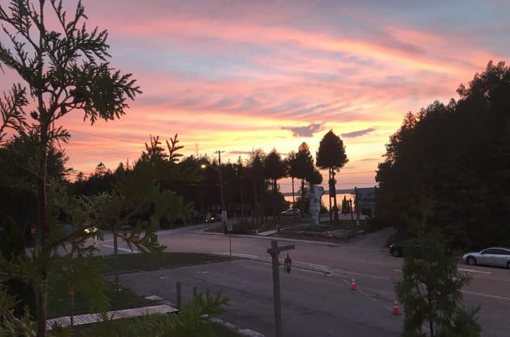 A serene sunset with shades of pink and blue over a street scene flanked by trees and poles, with streetlights just turning on.